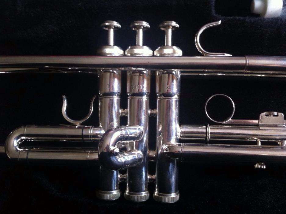 Trompete Roy Benson TR-202S c/ bocal