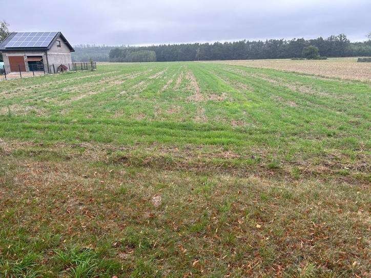 Działka budowlana 1210 m2  Łękińsko