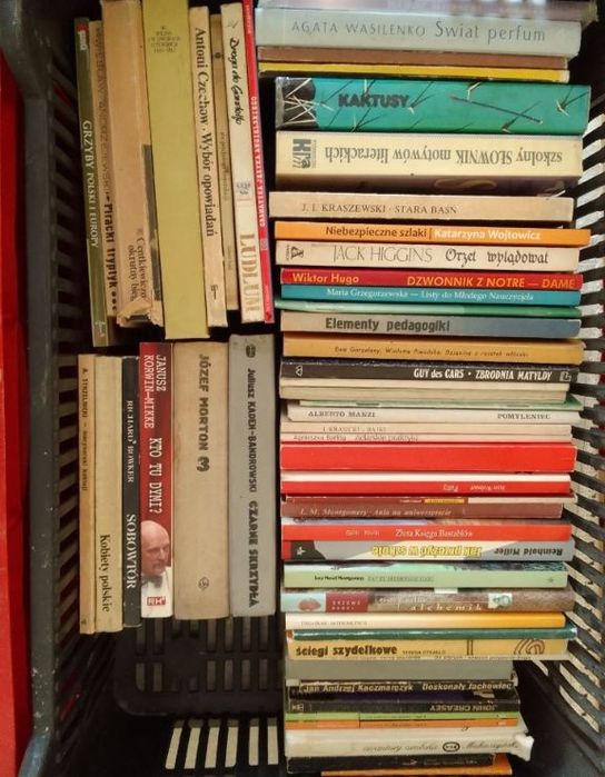 Książki literatura