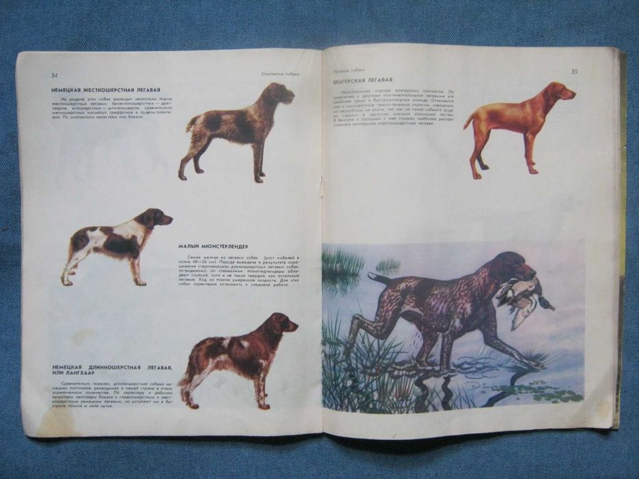 Книга-альбом "Охотничьи собаки".