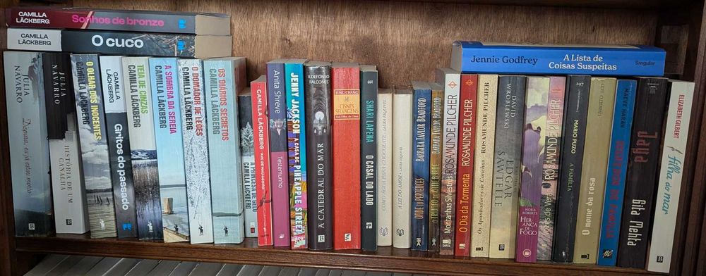 Coleção de Romances / Thrillers / Ficção — +150 livros, muito bom estado