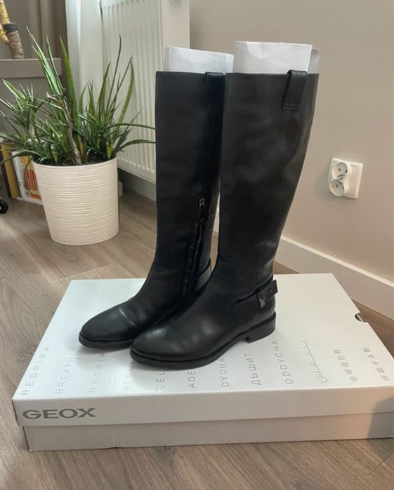 Oficerki Geox / kozaki Geox
