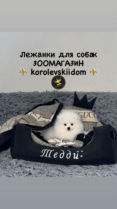 Лежак для собак автокресло автоперевозка многоразовые пелёнки лесенка