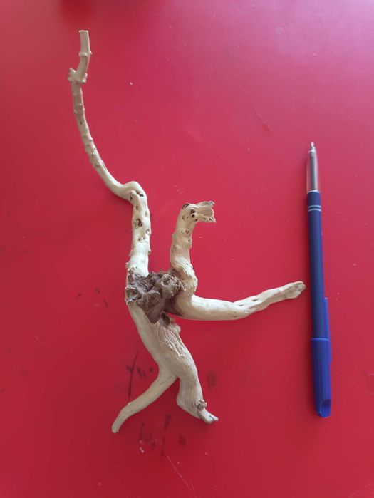 Troncos para aquário +/-20 cm