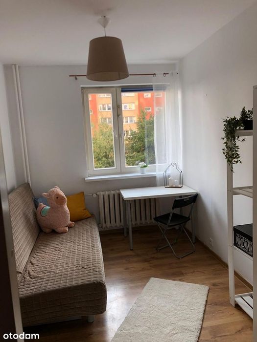 Pokój "All Inclusive" – 950 zł ze wszystkim (i zero niespodzianek)