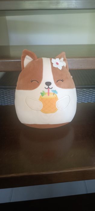 Squishmallows Maskotka Pluszak Brązowy PIES CORGI Z NAPOJEM REGINA 19 cm