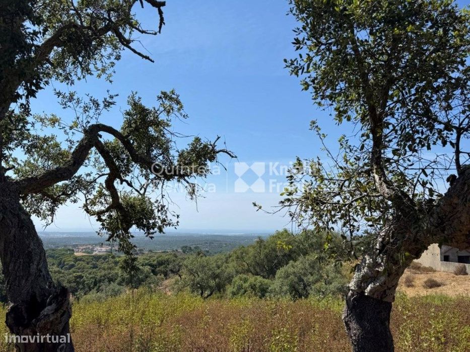 Terreno com 22,5 hectares em Santa Cruz, Santiago do Cacém