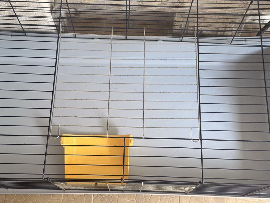 Gaiola Grande 100cm para Coelho/Porquinho-da-Índia – Como Nova