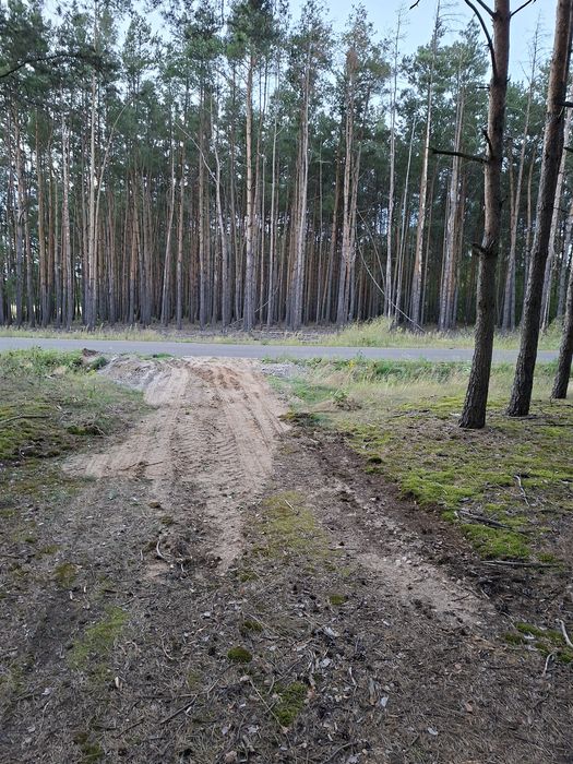 Zdjęcie 6