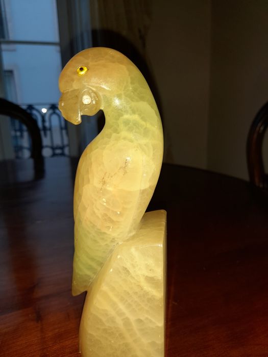 Papagaio  em jade bonito