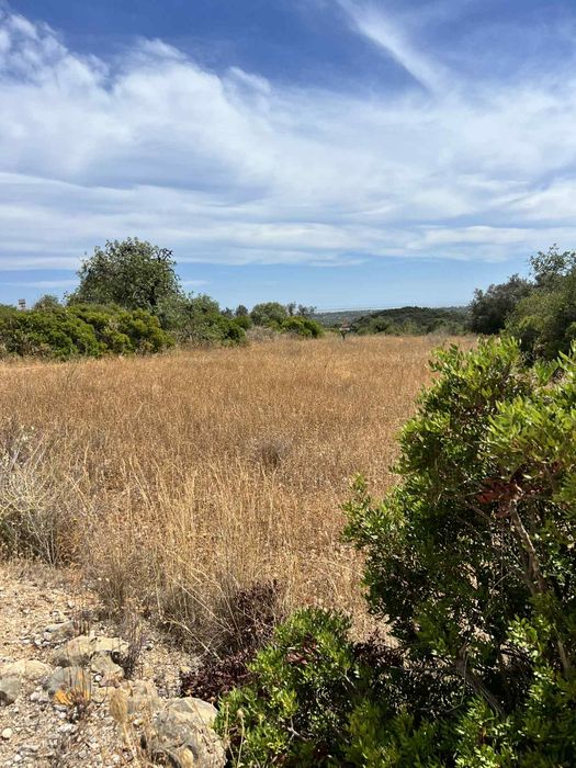 Vende-se terreno ( ótimo para casa de madeira )