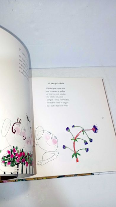 Herbário - Jorge Sousa Braga