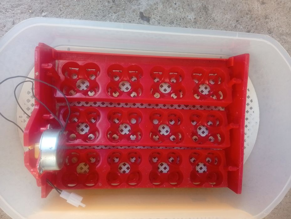 Chocadeira vira os ovos automáticamente