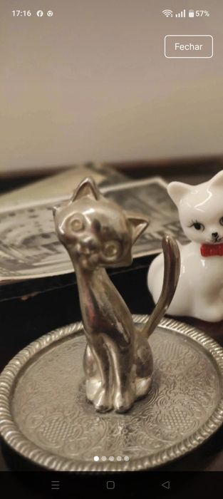 Lote de gatinhos