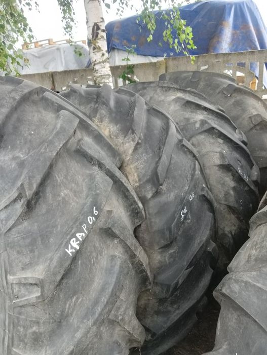 Koło 18;4/30  bizon