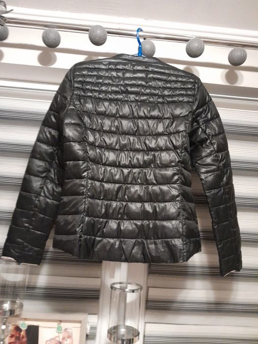 Kurteczka  wiosenna