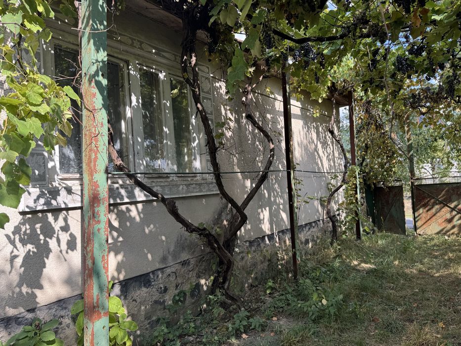 Продаж будинку Велика Визниця