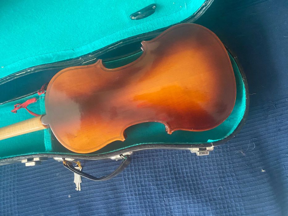Violino sem arco
