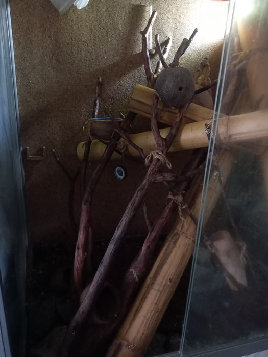 Продам террариум