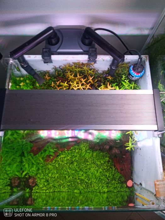 Móvel e aquário 35x35x30, completo