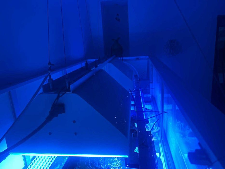 Lampy akwarystyczne HQI