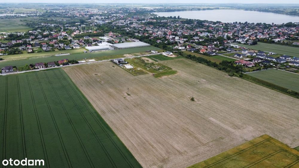 Działka budowlana do wyboru 1000m2 Żnin/Kasztanowa