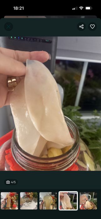 Ocet jablkowy domowy naturelny 6%