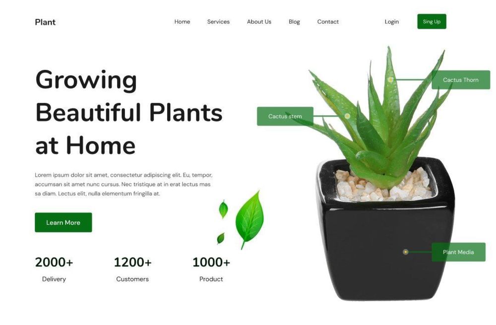 Создание сайтов Разработка бюджетных сайтов Продвижение