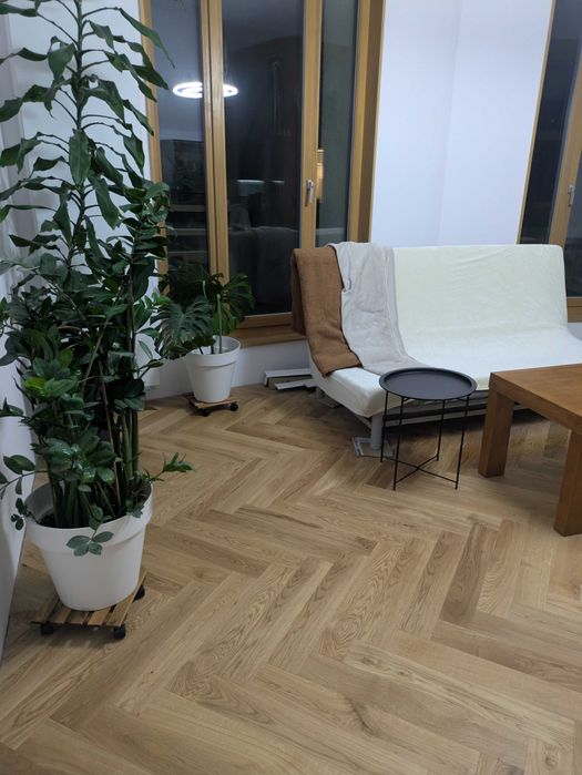 Mieszkanie studenckie pokój do wynajęcia 87 m2 na 2 osoby Solna