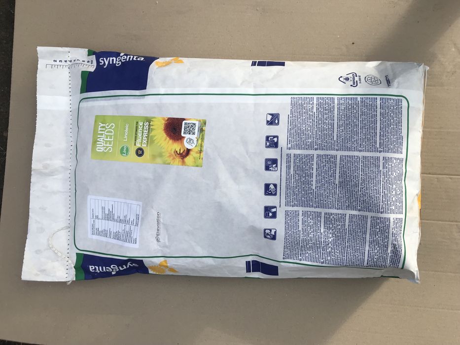 Соняшник. Насіння