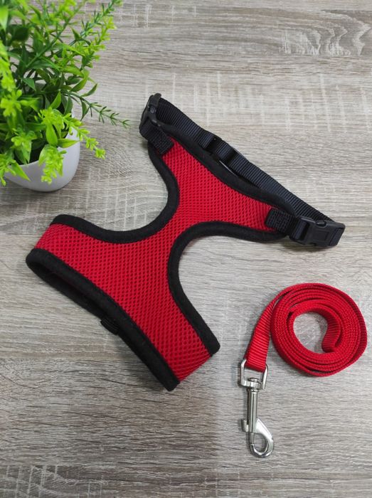 Шлея для собак із повідцем