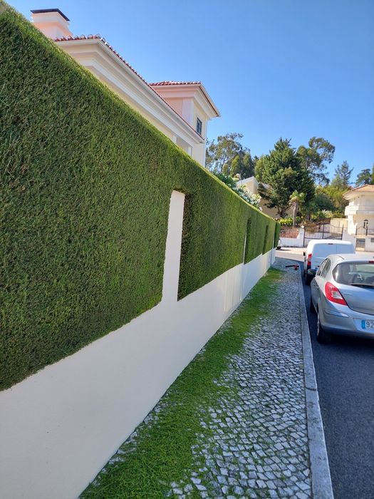 Manutenção de jardins