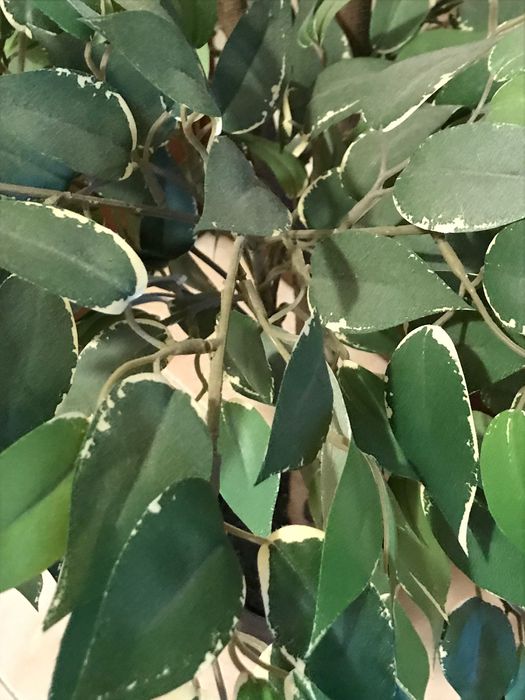 Planta artificial em vaso em vaso IKEA