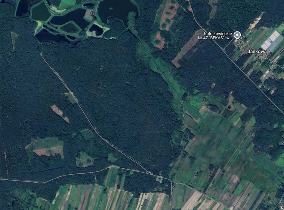 Działka leśna, las i łąki, wzdłuż rzeki Leonka