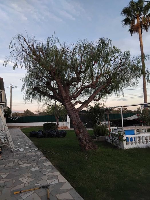 Limpeza de jardins, terrenos e afins