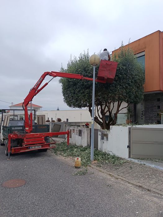 Serviços de Limpeza de Terrenos /Jardinagem