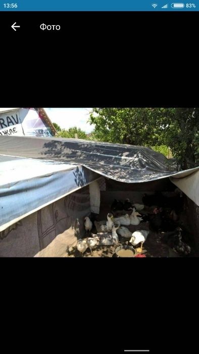 тентовое  полотно б/у, тент для сада и огорода, тент укрывной