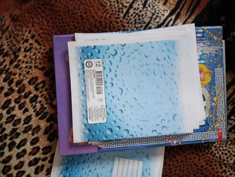 Папка +тетради школьные