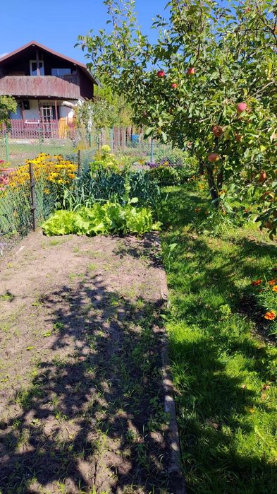 Sprzedam działkę ogrodową ROD