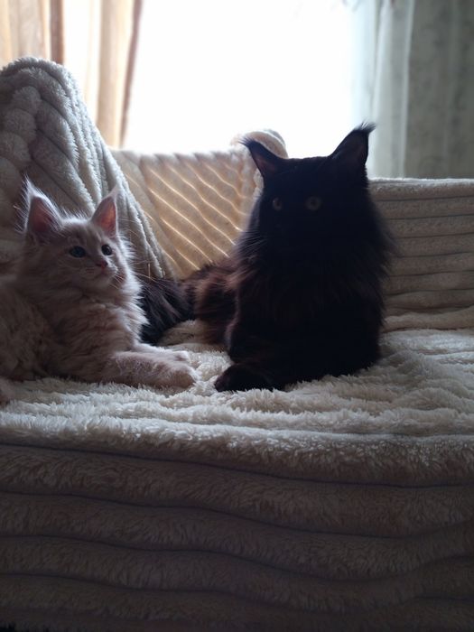 Подарунок на 14 лютого