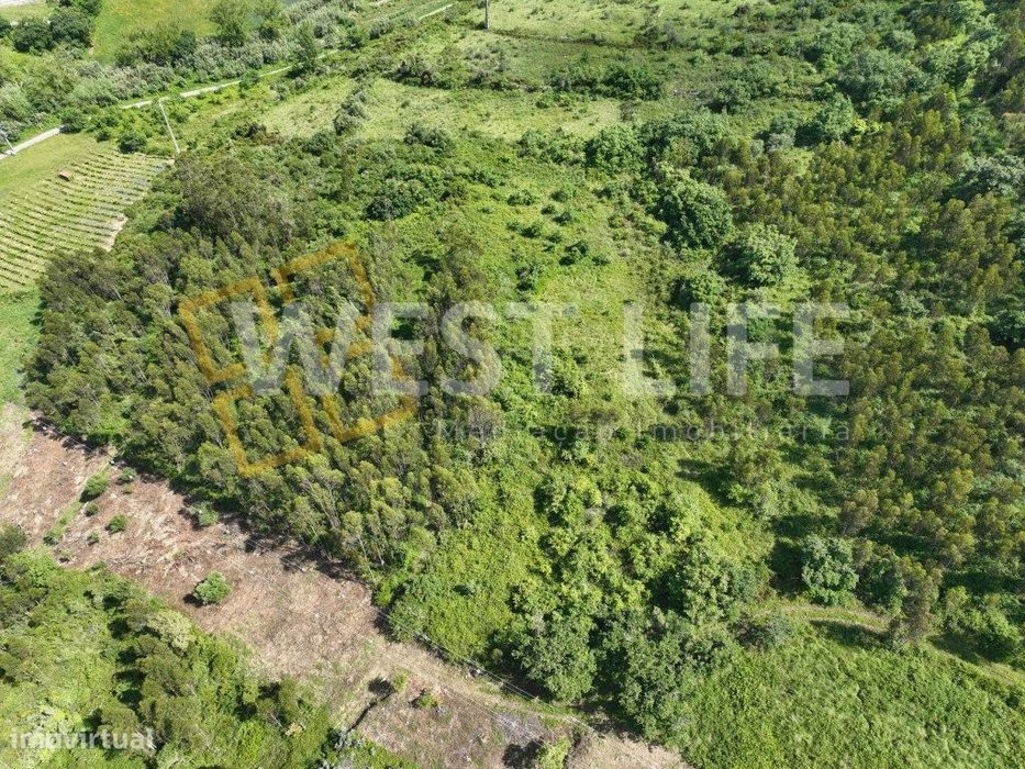 Rustic Land Plot of 10937 m² — EXCLUSIVE WL — Excellent Solar Exposure ...