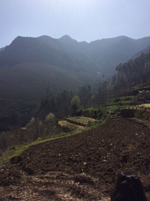Casa de Xisto na Ermida do Marão