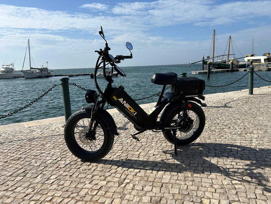 Bicicleta Electrica