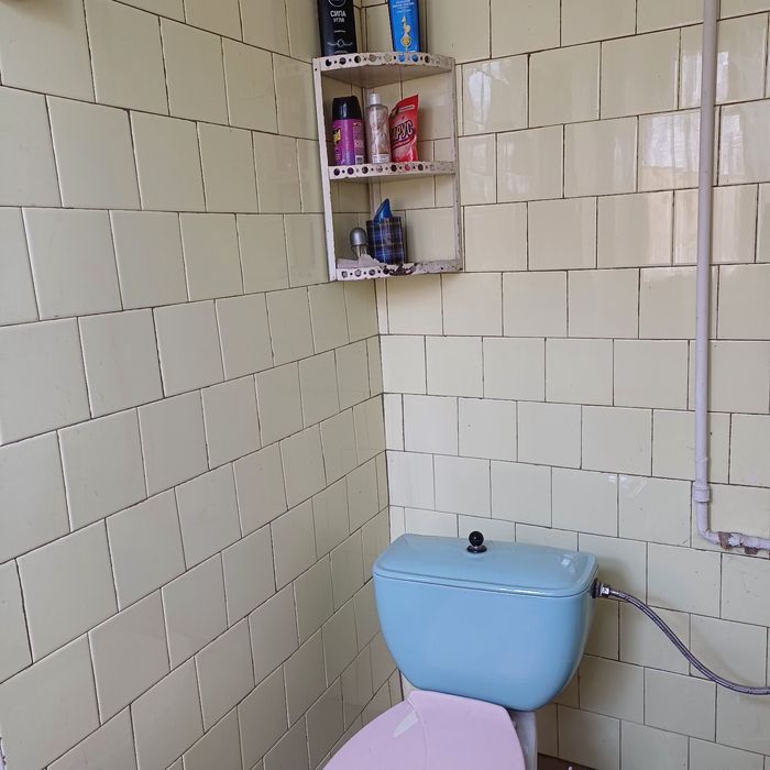 Будинок в центрі смт Софіївка