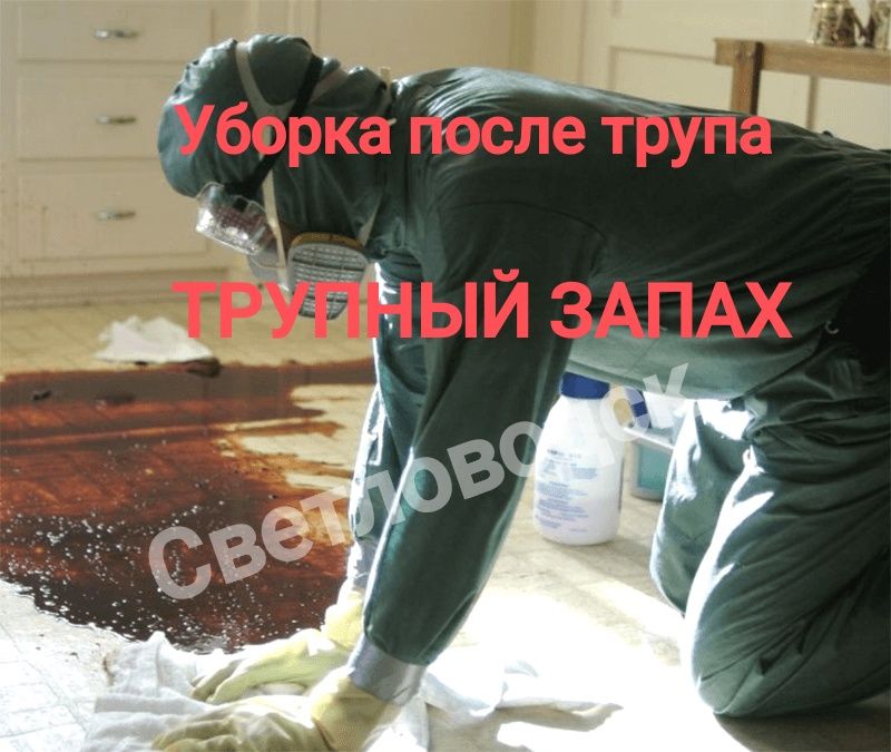 ‼️ТРУПНЫЙ ЗАПАХ Уборка после ТРУПА Прибирання Клінінг після Смерті