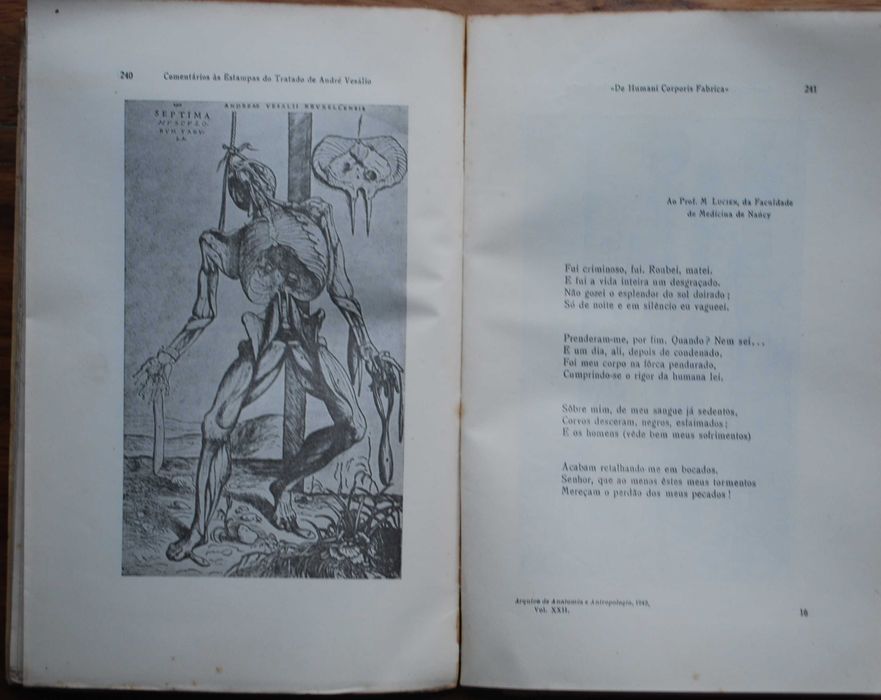 Comentários Às Estampas do Tratado de André Vesálio