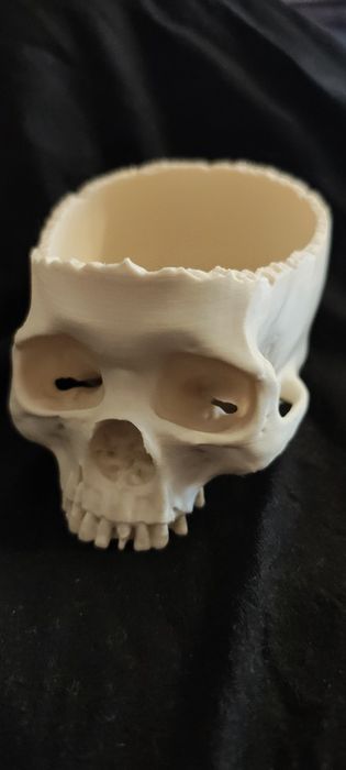 Model 3d misko czaszka do terrarium