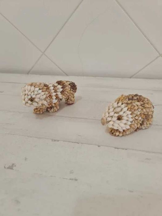 Coleção Conchas Artesanais Artesanato Animais Craft Seashells