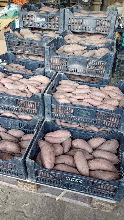 Batata doce laranja lugar da estrada