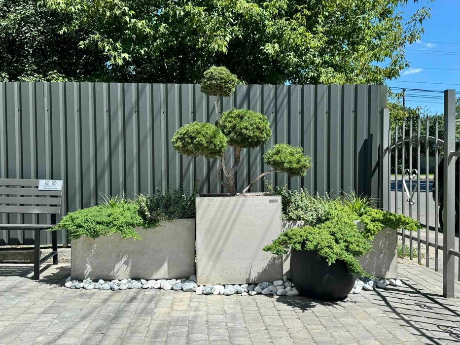 Бетонні Вазони, Горщики Декор, Кашпо, Вазоны, Горшки Лофт, Рівне